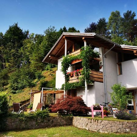 مبيت وإفطار فيرا دي بريميرو Minavill La Casa Sulle Dolomiti المظهر الخارجي الصورة